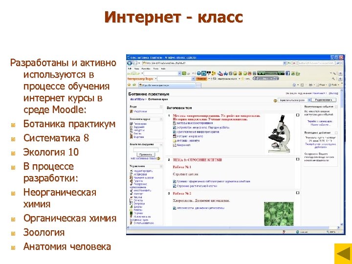 Интернет - класс Разработаны и активно используются в процессе обучения интернет курсы в среде