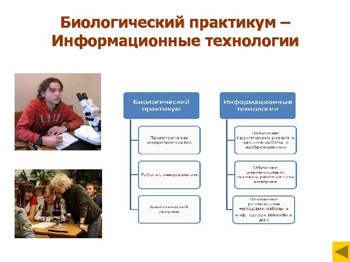 Биологический практикум – Информационные технологии 