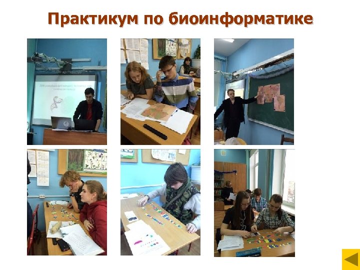 Практикум по биоинформатике 