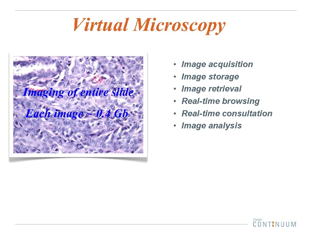 Virtual Microscopy Imaging of entire slide Each image ~ 0. 4 Gb • •