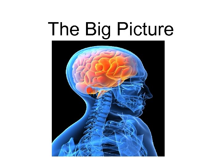 The Big Picture 