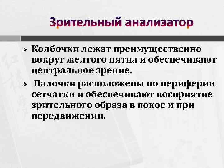 Зрительный анализатор Колбочки лежат преимущественно вокруг желтого пятна и обеспечивают центральное зрение. Палочки расположены