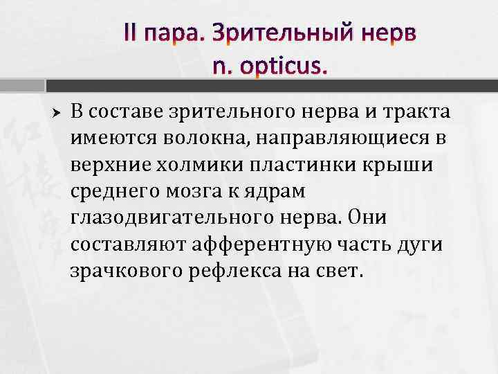 II пара. Зрительный нерв n. opticus. В составе зрительного нерва и тракта имеются волокна,