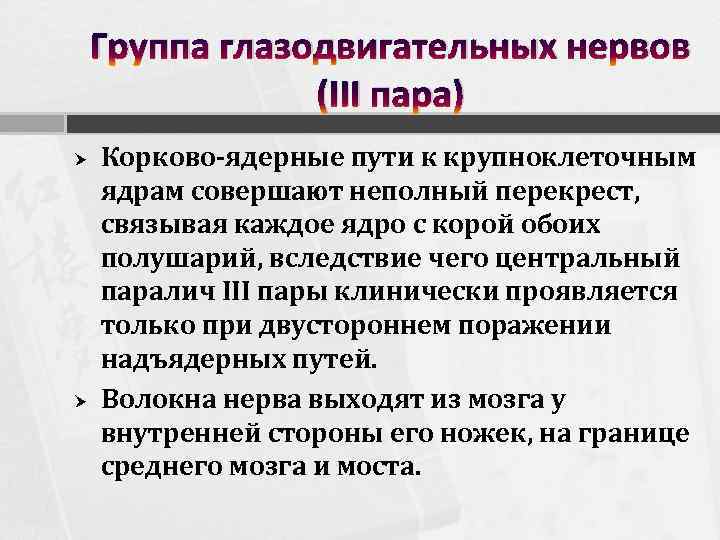 Группа глазодвигательных нервов (III пара) Корково-ядерные пути к крупноклеточным ядрам совершают неполный перекрест, связывая