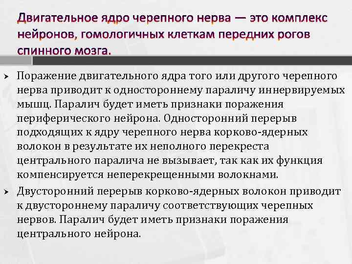 Двигательное ядро черепного нерва — это комплекс нейронов, гомологичных клеткам передних рогов спинного мозга.