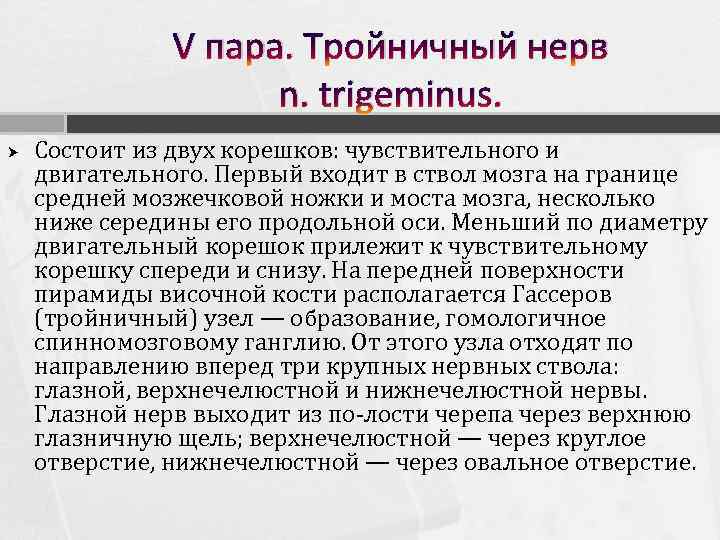 V пара. Тройничный нерв n. trigeminus. Состоит из двух корешков: чувствительного и двигательного. Первый