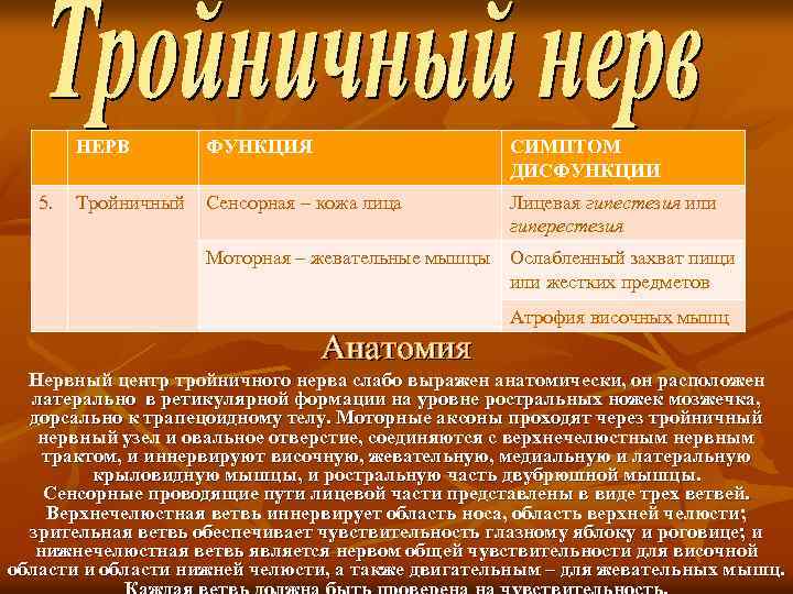 НЕРВ 5. ФУНКЦИЯ СИМПТОМ ДИСФУНКЦИИ Тройничный Сенсорная – кожа лица Лицевая гипестезия или гиперестезия