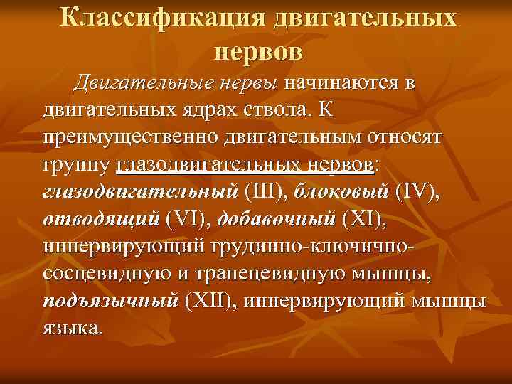 Классификация двигательных нервов Двигательные нервы начинаются в двигательных ядрах ствола. К преимущественно двигательным относят