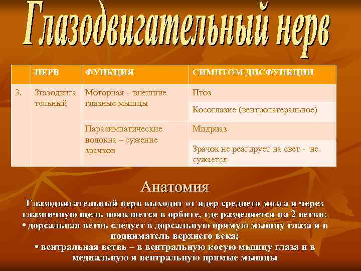 НЕРВ 3. ФУНКЦИЯ СИМПТОМ ДИСФУНКЦИИ Згазодвига тельный Моторная – внешние глазные мышцы Птоз Парасимпатические