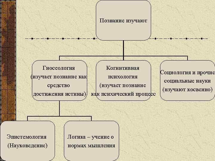 Познание изучают Гносеология Когнитивная Социология и прочие (изучает познание как психология социальные науки средство