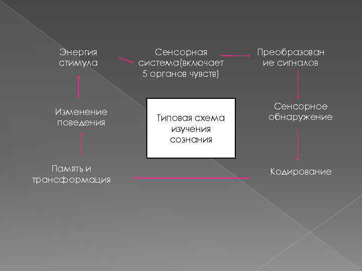 Энергия стимула Изменение поведения Память и трансформация Сенсорная система(включает 5 органов чувств) Типовая схема