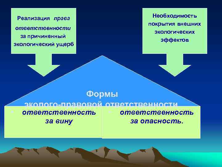 Необходимость покрытия внешних экологических эффектов Реализация права ответственности за причиненный экологический ущерб • Формы