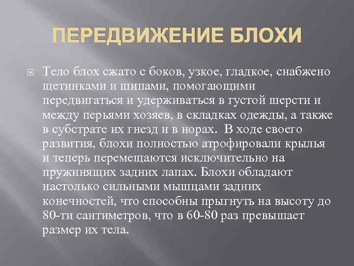 ПЕРЕДВИЖЕНИЕ БЛОХИ Тело блох сжато с боков, узкое, гладкое, снабжено щетинками и шипами, помогающими