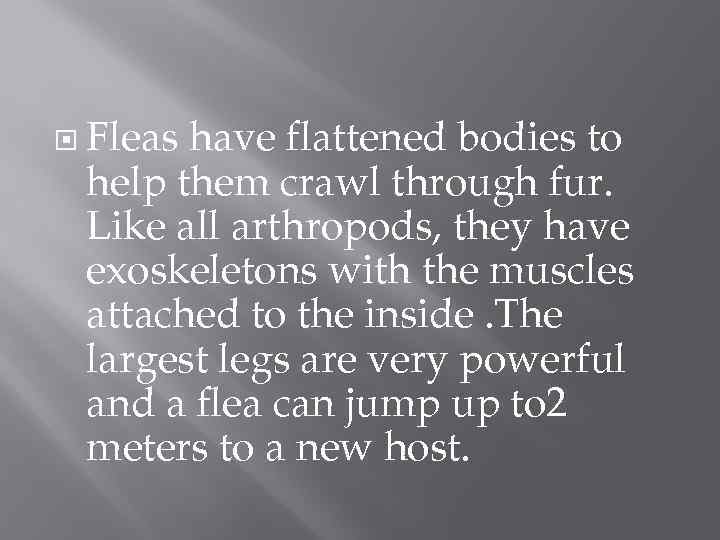  Fleas have flattened bodies to help them crawl through fur. Like all arthropods,