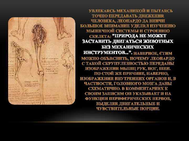 "ПРИРОДА НЕ МОЖЕТ ЗАСТАВИТЬ ДВИГАТЬСЯ ЖИВОТНЫХ БЕЗ МЕХАНИЧЕСКИХ ИНСТРУМЕНТОВ. . . ". 