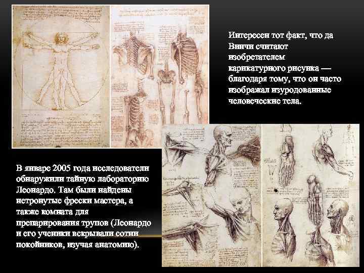 Интересен тот факт, что да Винчи считают изобретателем карикатурного рисунка — благодаря тому, что