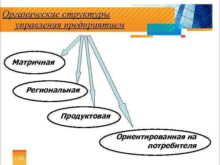 Органические структуры управления предприятием Матричная Региональная Продуктовая Ориентированная на потребителя > 55 