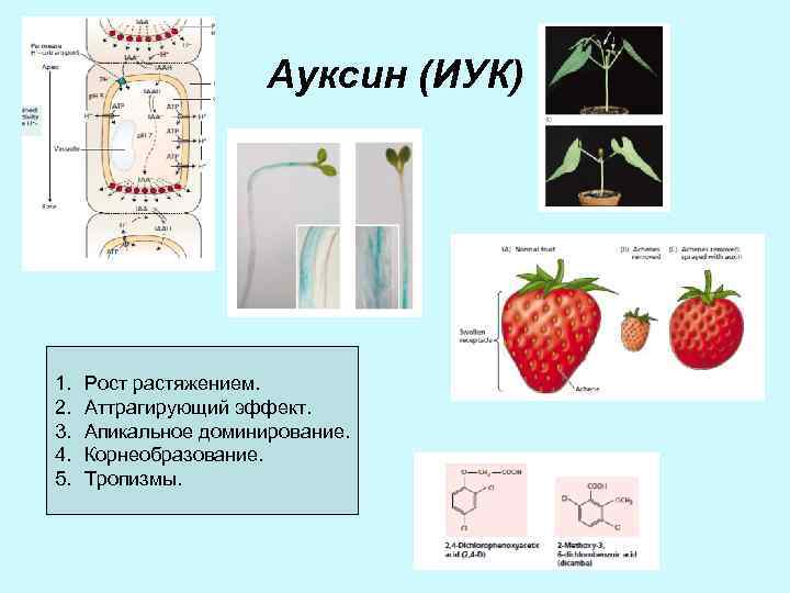 На рисунке представлен график изменения температуры цинка массой 3 кг от времени