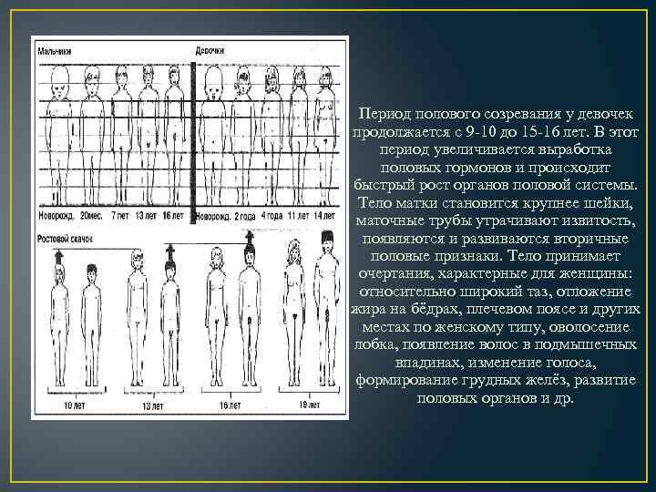 Период полового созревания у девочек продолжается с 9 -10 до 15 -16 лет. В