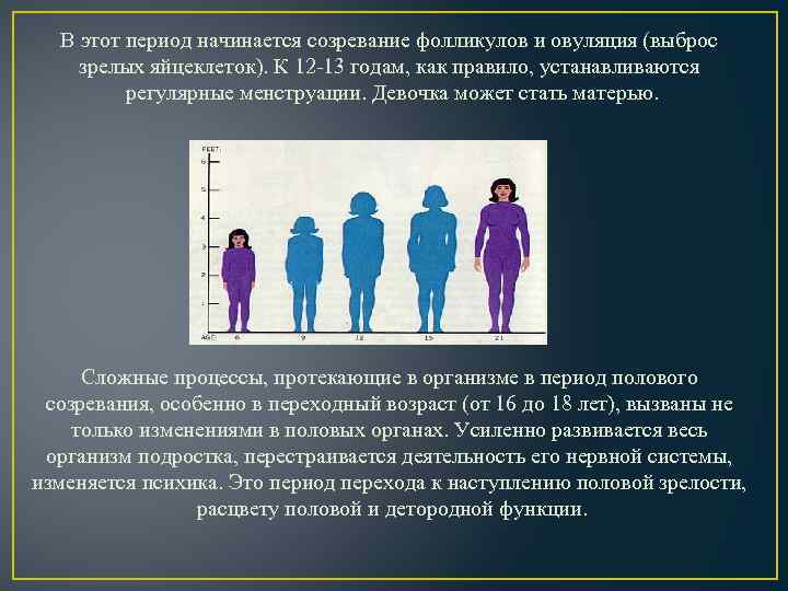 В этот период начинается созревание фолликулов и овуляция (выброс зрелых яйцеклеток). К 12 -13