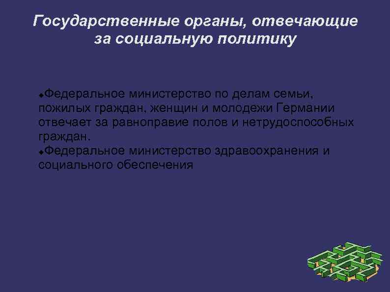 Государственные органы, отвечающие за социальную политику Федеральное министерство по делам семьи, пожилых граждан, женщин