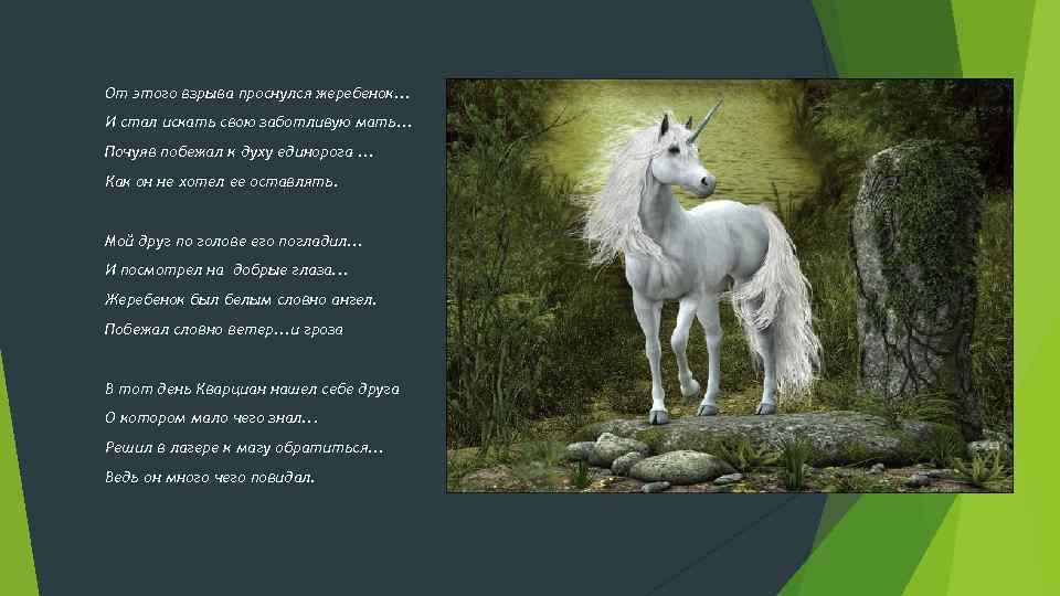 От этого взрыва проснулся жеребенок. . . И стал искать свою заботливую мать. .