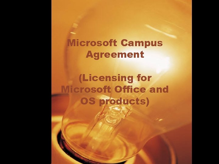 Microsoft Campus Agreement (Licensing for Microsoft Office and OS products) 