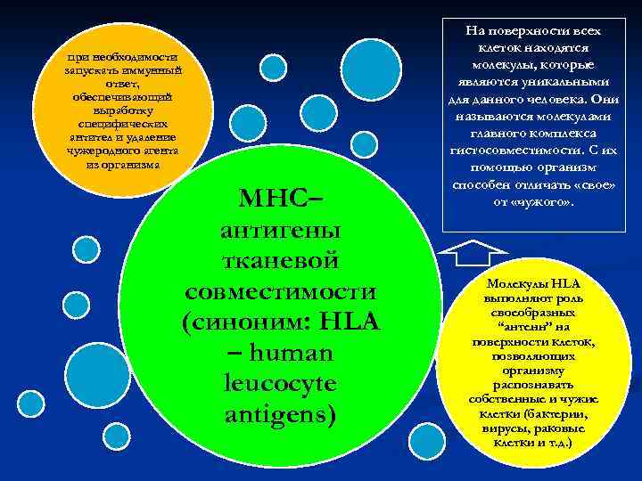 при необходимости запускать иммунный ответ, обеспечивающий выработку специфических антител и удаление чужеродного агента из