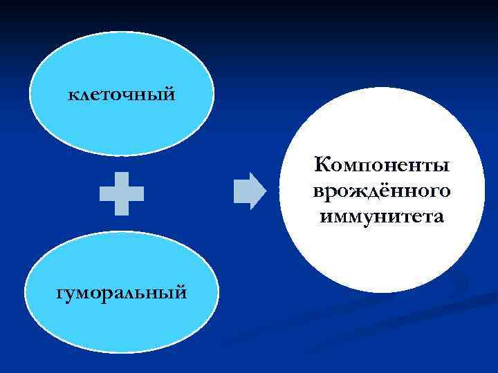 клеточный Компоненты врождённого иммунитета гуморальный 