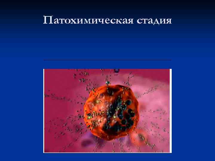 Патохимическая стадия Связана с выбросом биологически активных веществ (БАВ) клетками-мишенями 