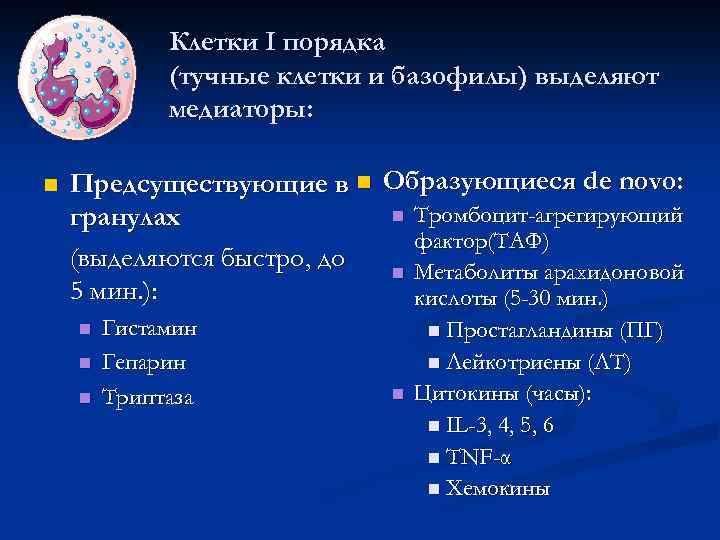 Клетки I порядка (тучные клетки и базофилы) выделяют медиаторы: Предсуществующие в Образующиеся de novo: