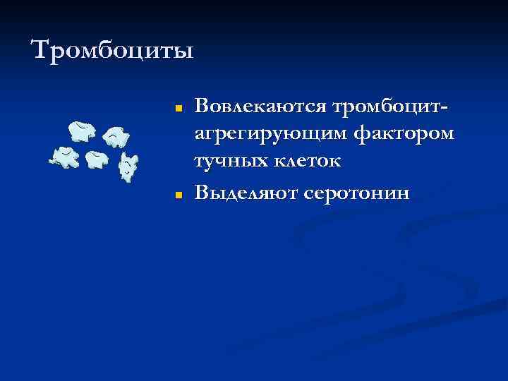 Тромбоциты Вовлекаются тромбоцитагрегирующим фактором тучных клеток Выделяют серотонин 