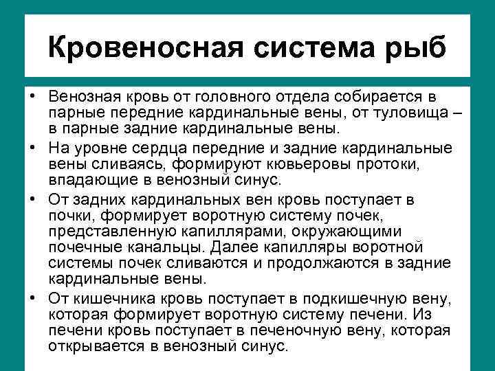 Кровеносная система рыб • Венозная кровь от головного отдела собирается в парные передние кардинальные