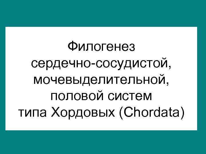 Филогенез сердечно сосудистой, мочевыделительной, половой систем типа Хордовых (Chordata) 
