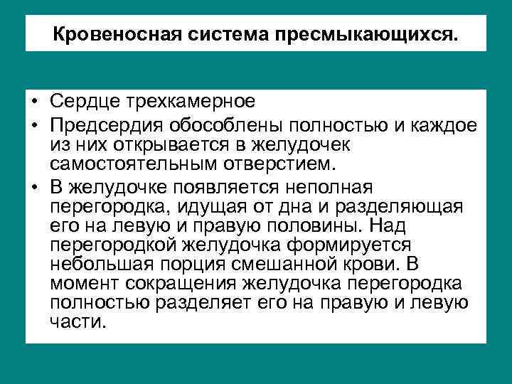 Кровеносная система пресмыкающихся. • Сердце трехкамерное • Предсердия обособлены полностью и каждое из них