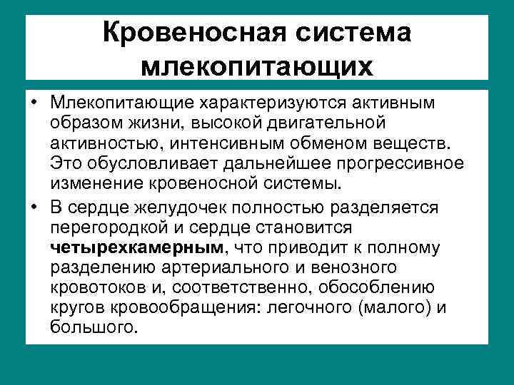 Кровеносная система млекопитающих • Млекопитающие характеризуются активным образом жизни, высокой двигательной активностью, интенсивным обменом