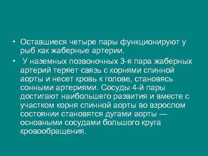  • Оставшиеся четыре пары функционируют у рыб как жаберные артерии. • У наземных