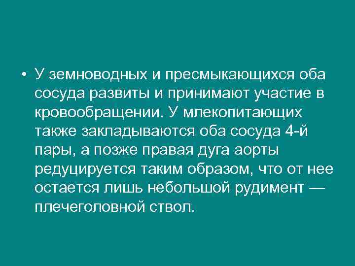  • У земноводных и пресмыкающихся оба сосуда развиты и принимают участие в кровообращении.