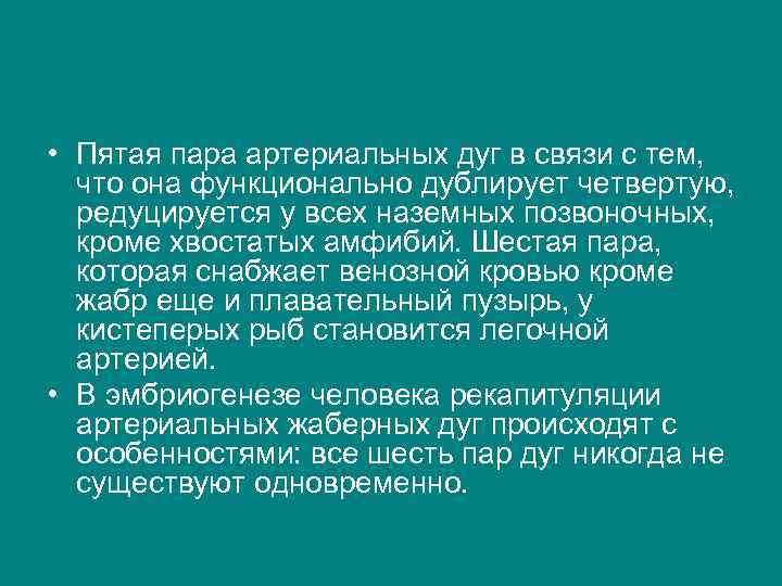  • Пятая пара артериальных дуг в связи с тем, что она функционально дублирует
