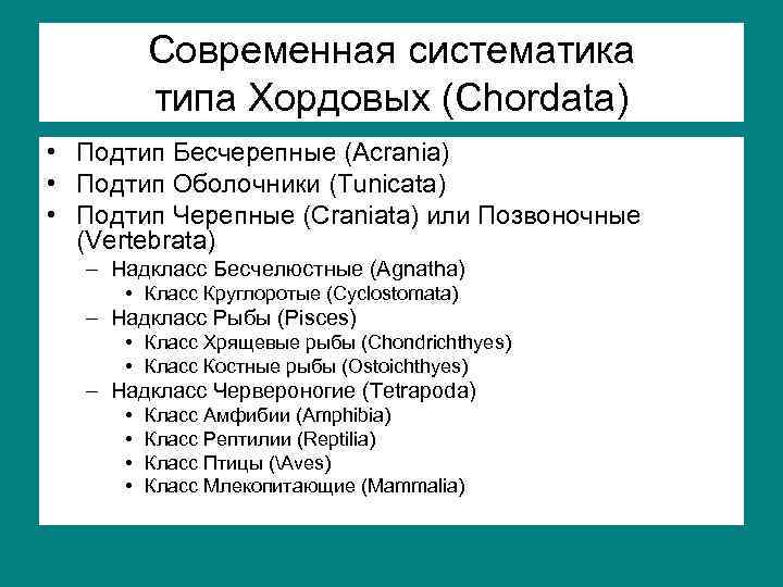 Тип хордовые классификация схема