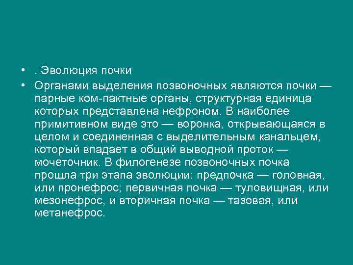  • . Эволюция почки • Органами выделения позвоночных являются почки — парные ком