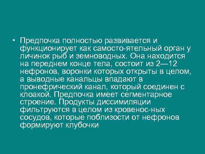  • Предпочка полностью развивается и функционирует как самосто ятельный орган у личинок рыб