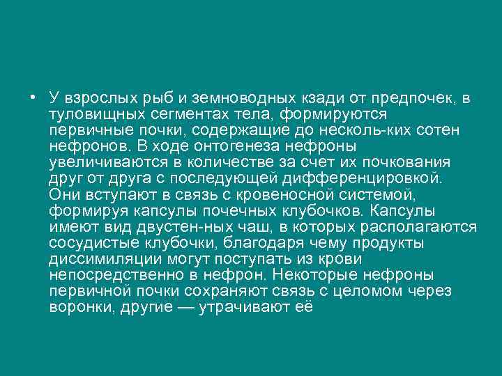  • У взрослых рыб и земноводных кзади от предпочек, в туловищных сегментах тела,