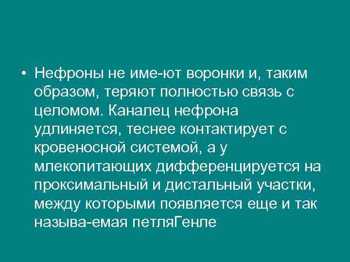  • Нефроны не име ют воронки и, таким образом, теряют полностью связь с