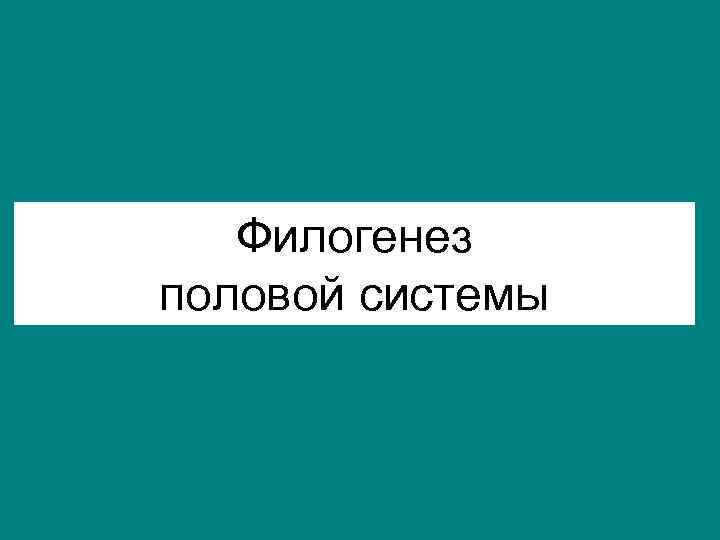 Филогенез половой системы 