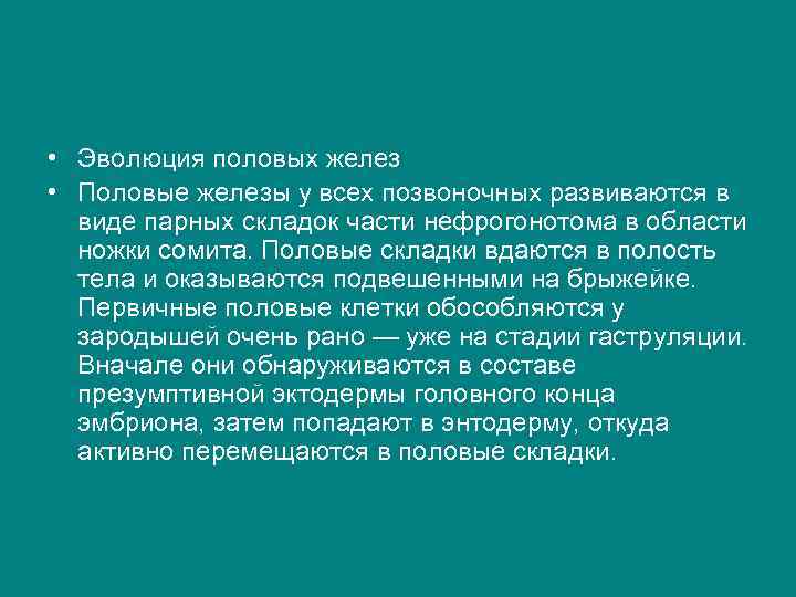  • Эволюция половых желез • Половые железы у всех позвоночных развиваются в виде