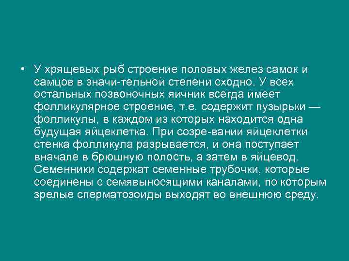  • У хрящевых рыб строение половых желез самок и самцов в значи тельной