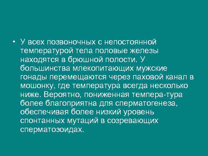  • У всех позвоночных с непостоянной температурой тела половые железы находятся в брюшной