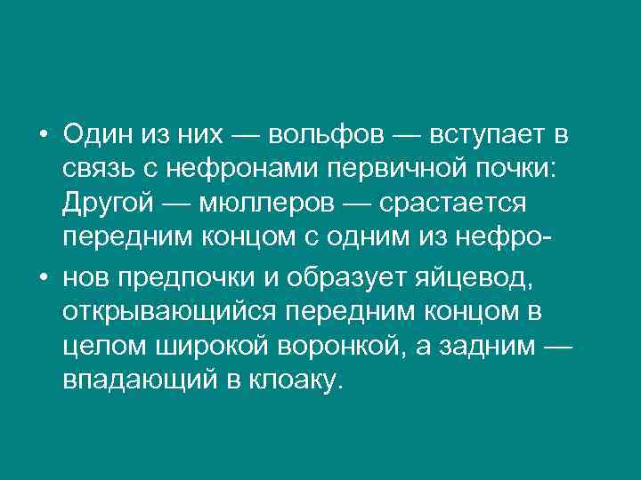  • Один из них — вольфов — вступает в связь с нефронами первичной
