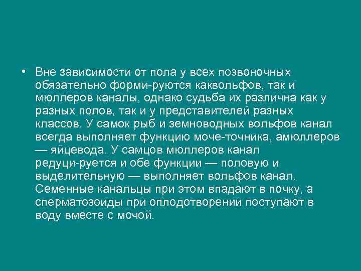  • Вне зависимости от пола у всех позвоночных обязательно форми руются каквольфов, так